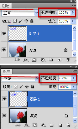 ps透明度怎么调整 ps透明度的调整方法