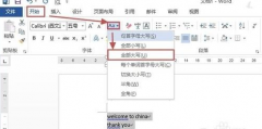 Word2013大小写字母怎么转换 Word2013大小写字母转换方法