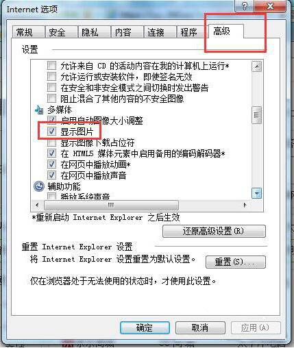 网页验证码无法显示