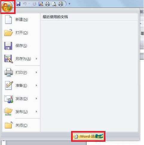 word选项