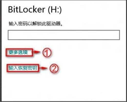 bitlocker密码忘记了