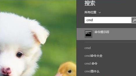 进入dos界面