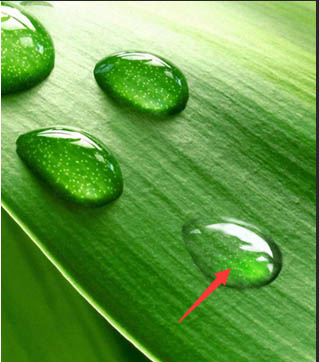 PS制作绿色树叶上的透明小水珠图片