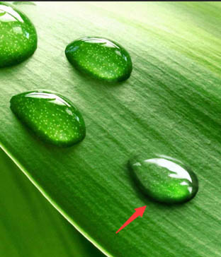 PS制作绿色树叶上的透明小水珠图片