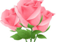 手机qq群怎么送花 手机QQ群送花教程